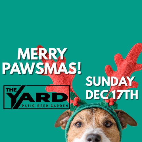 merry christmas instagram post vet advertisem